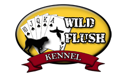 Wild-Flush-Kennel Wild Flush Kennel