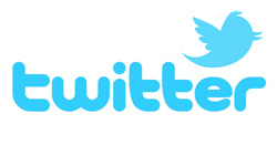 Twitter Advertising