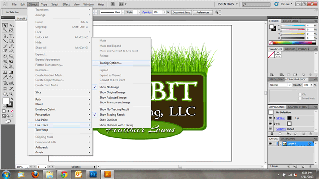 adobe illustrator convert raster to vector