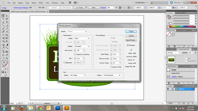 Adobe Illustrator Design Options