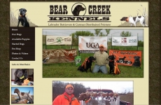 Quad City Web Design Bear Creek