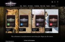 Quad City Web Design Kinetic Dog Food