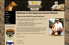 Quad City Web Design Sagacious