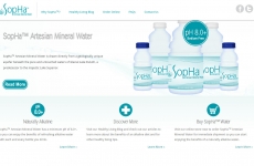 Quad City Web Design SopHa