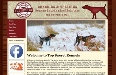 Quad City Web Design Top Secret